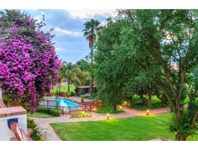 Zulu Nyala African Safari