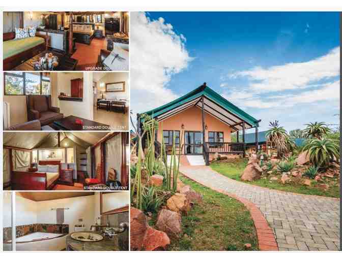 Zulu Nyala African Safari