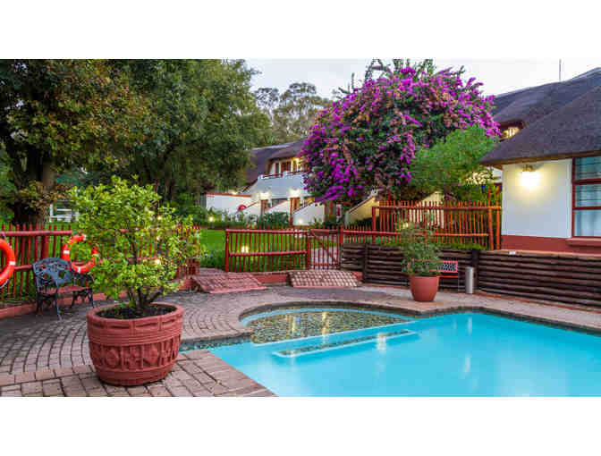 Zulu Nyala African Safari