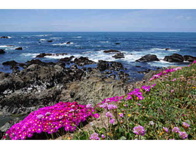 One Year Memberhip to Mendocino Coast Botanical Gardens
