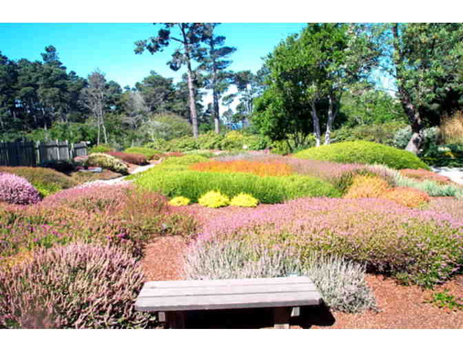 One Year Memberhip to Mendocino Coast Botanical Gardens