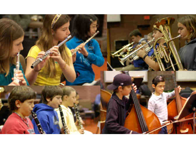 Summer Class for Santa Rosa Symphony's Summer Music Academy or Youth Ensemble