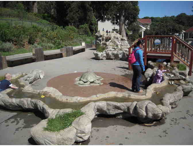 Family visit pass to Bay Area Discovery Museum
