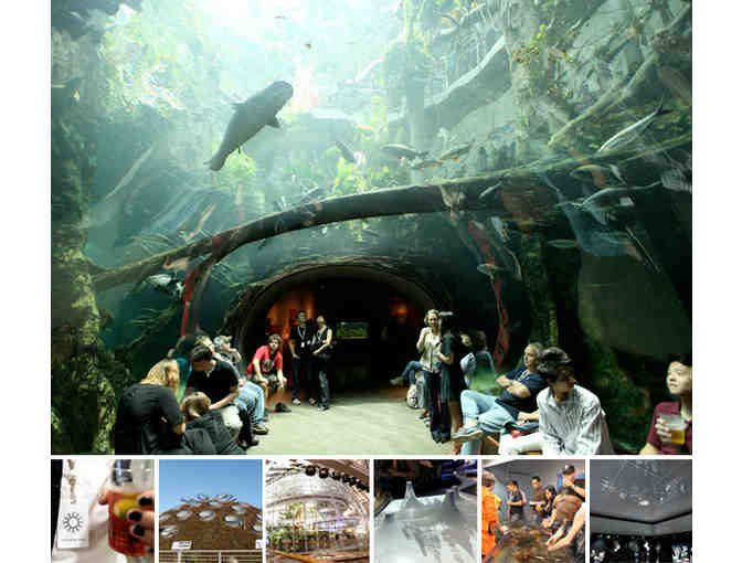 2 Tickets to the California Academy of Sciences in San Francisco