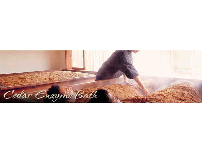 Osmosis Day Spa Sanctuary - Cedar Enzyme Bath for one