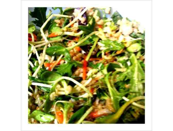 $25 Certificate for Slice of Life in Sebastopol