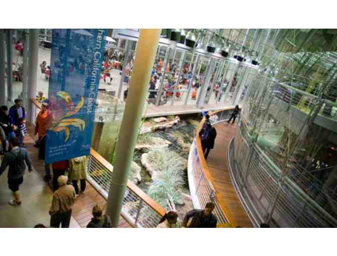 4 Tickets to the California Academy of Sciences in San Francisco