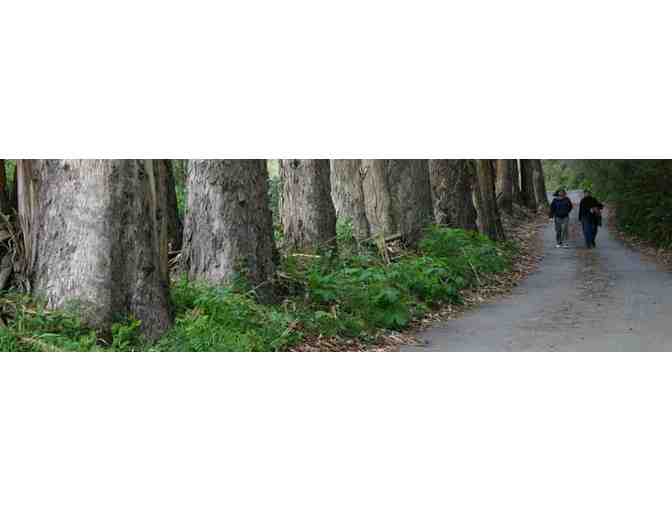 Overnight Stay at the Green Dragon Temple Guest House