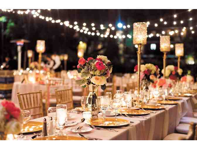 Dinner with Credo Director on June 20, 2015