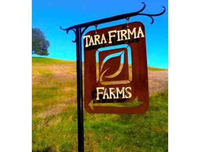 An Afternoon at Tara Firma Farms