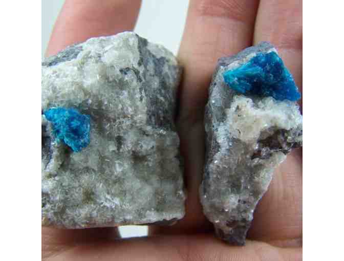 $20 Certificate for The Uncarved Block in Sebastopol, CA