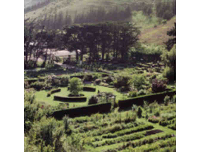 Overnight Stay at the Green Dragon Temple Guest House