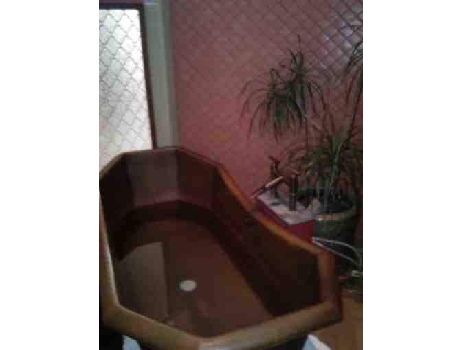 (2) Self-Care Day Pass at dhyana Center