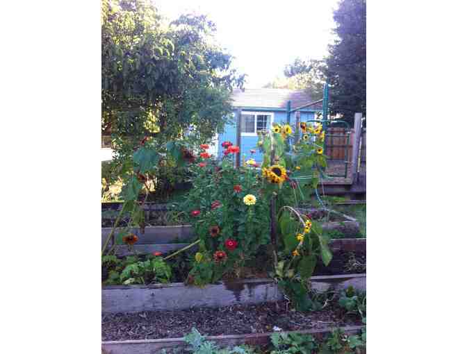 Two Night Stay at Sonoma County Wine Country Cottage