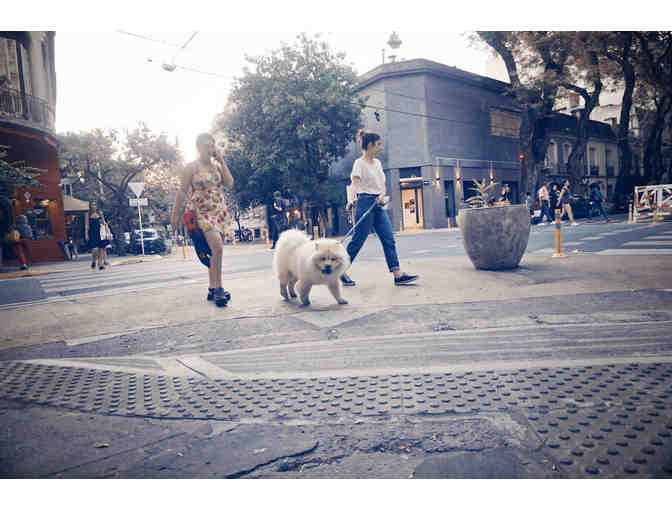 Always Wanted to go to Argentina?