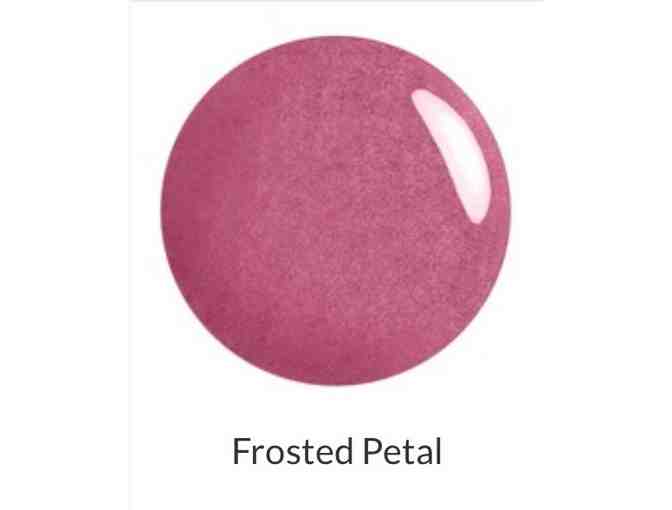 Gelmoment Beginner Choice Kit - DIY gel manicure