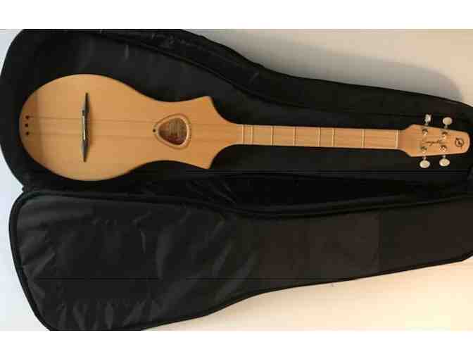 Seagull Merlin Dulicmer with case