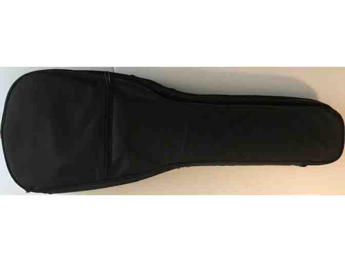 Seagull Merlin Dulicmer with case