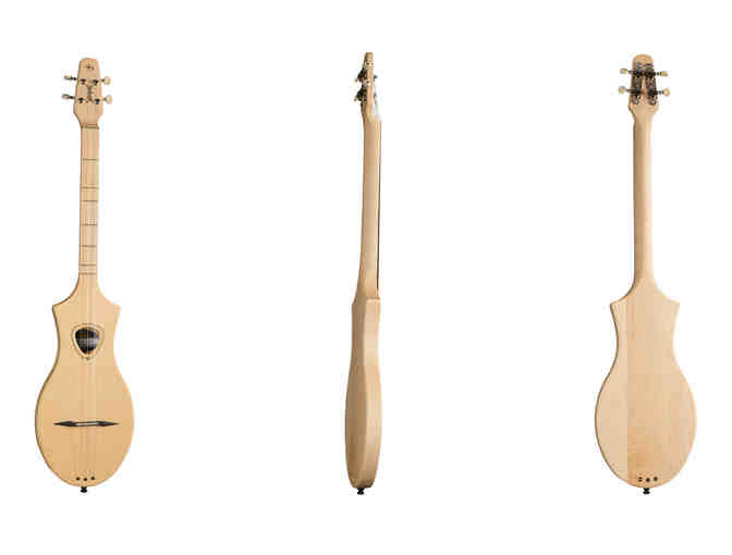 Seagull Merlin Dulicmer with case