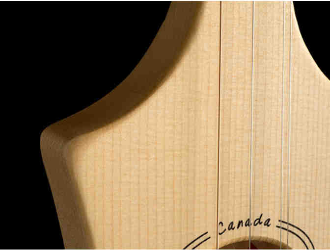 Seagull Merlin Dulicmer with case