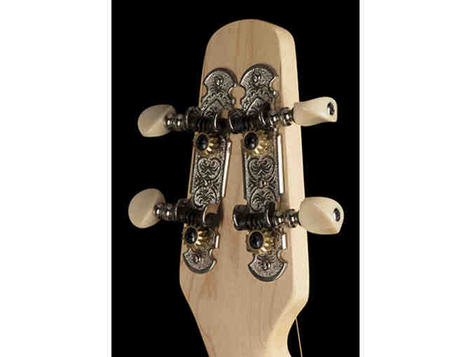 Seagull Merlin Dulicmer with case