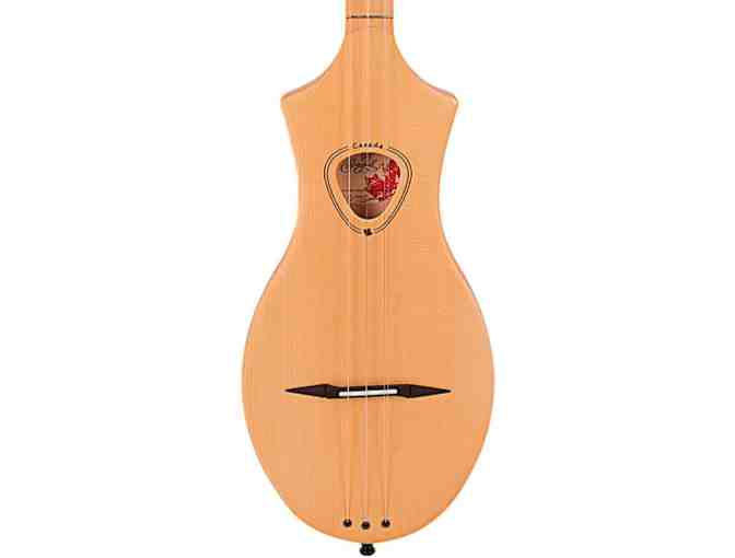 Seagull Merlin Dulicmer with case