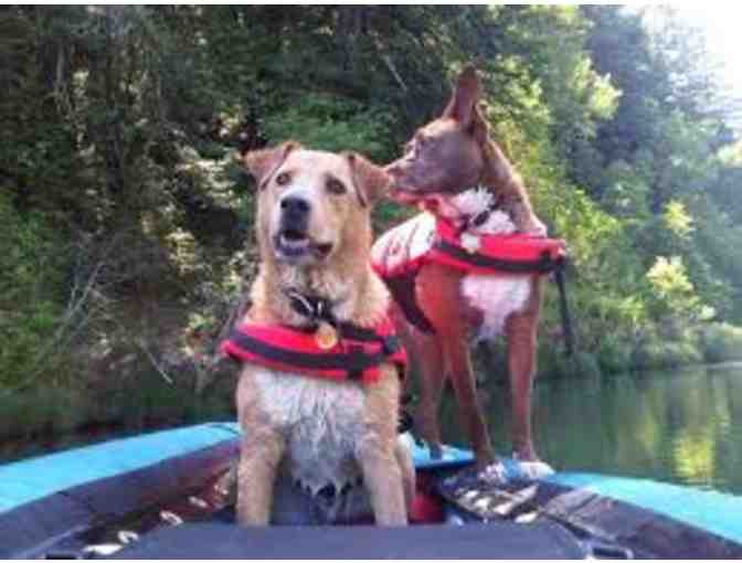 One Full Day of River Rafting Adventure for four (4)