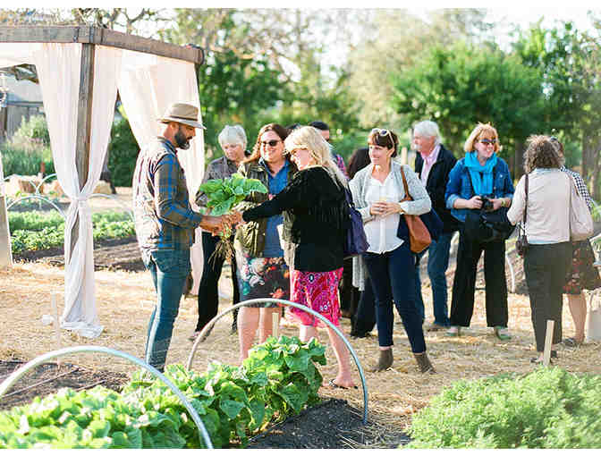 Wine & Food Pairing for 4 to Kendall Jackson