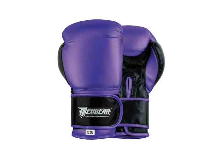 Kickboxing Workout Kit and 2 punch cards to Elevate Fitness & Martial Arts
