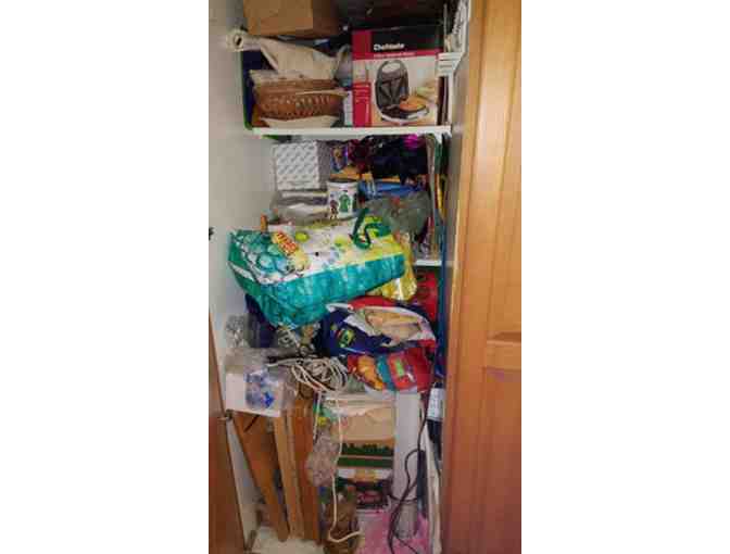 Professional Organizing Services