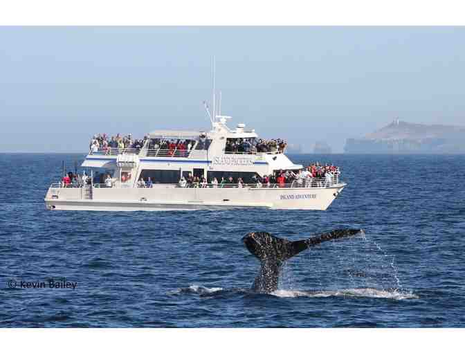 Island Packers - 2 Tickets for Anacapa or Santa Cruz Islands