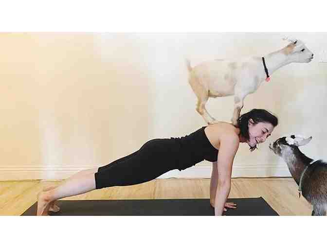 Laughing Frog Yoga - 2 Tickets to Goat Yoga