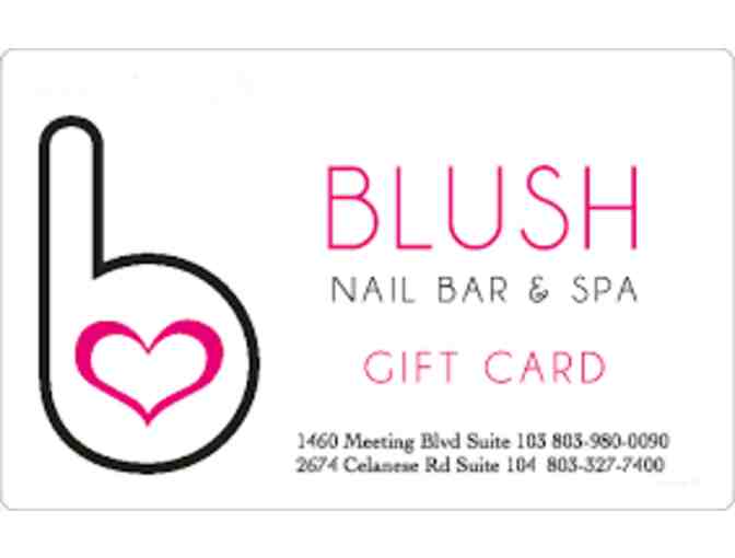 Blush Nail Bar - Rock Hill - Photo 1