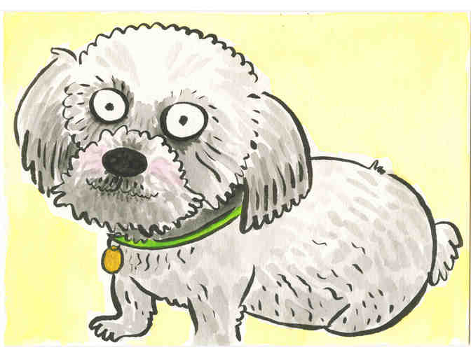 Calling all Pet People!