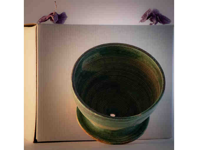 Back of the Yards Coffee