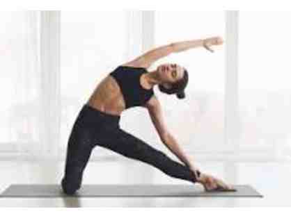 Three Private Pilates Sessions + 3 EMSCULPT Treatments at Aligne LA
