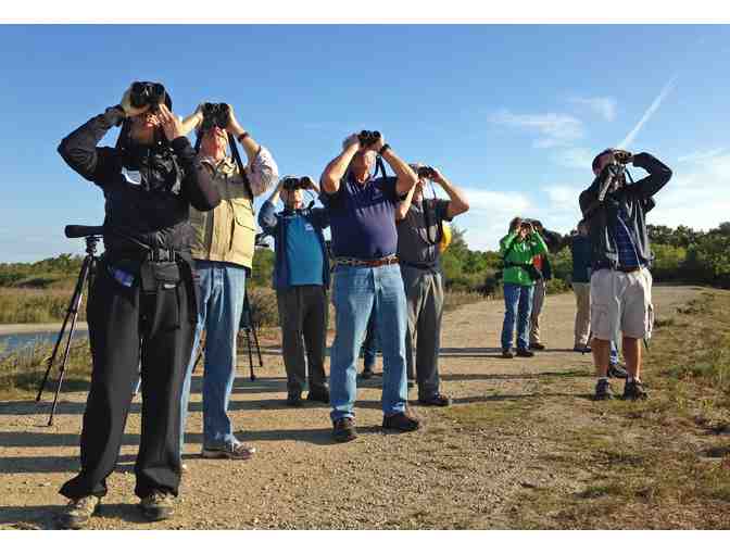 Mass Audubon - One Year Family Membership