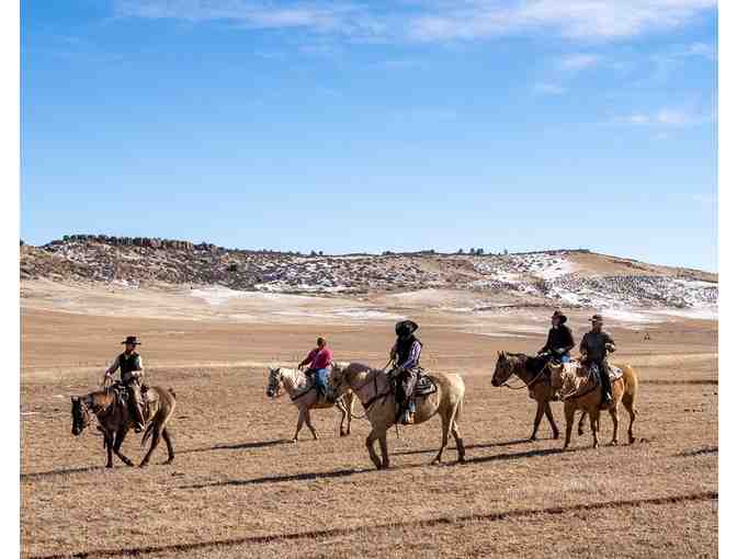 Bunk and Breakfast at Colorado Ranch - Photo 1