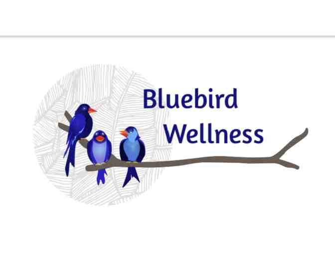 Bluebird Wellness $200 Gift Certificate and Swag Bag