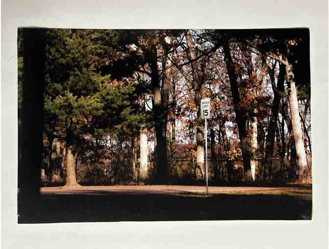 Student Art: Illinois Sights Series by Cassidy Canaval