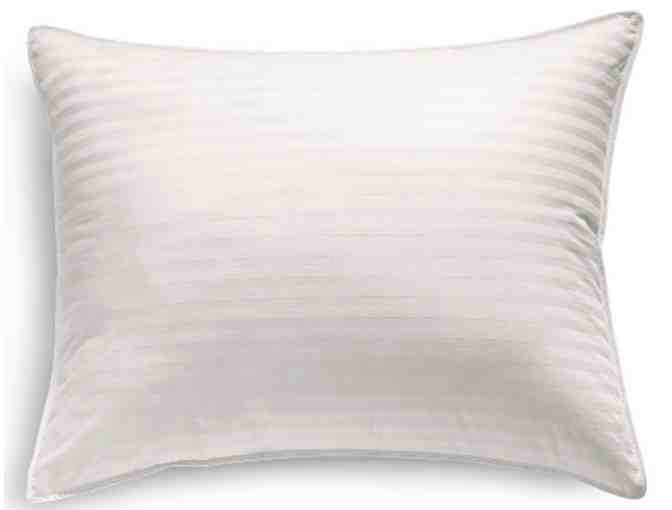 Luxury Down Pillow by Cuddledown