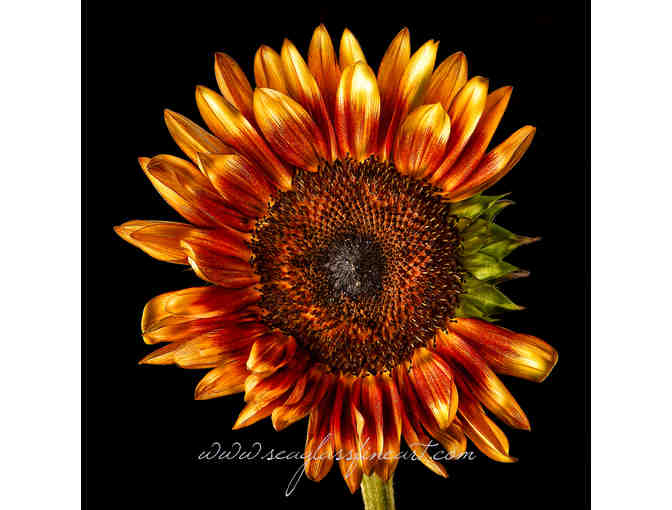 Twelve-Inch Fine Art Print  Of Your Choice