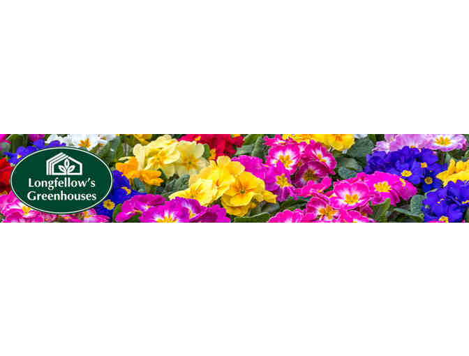 $30 Gift Certificate to Longfellow's Greenhouse