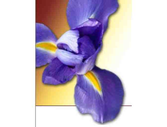 Lucinda's Day Spa $50 Gift Card