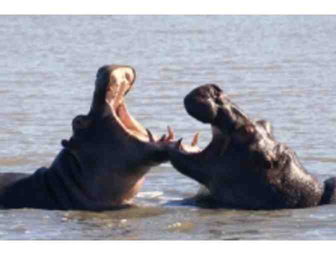 South Africa Photo Safari for 2