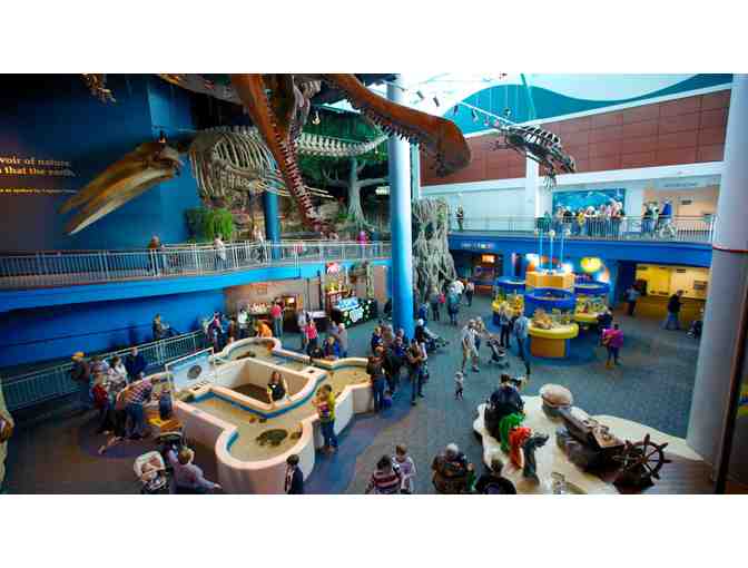 Two Tickets to Ripley's Aquarium of the Smokies