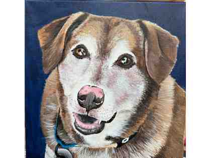 Acrylic Pet Portrait 12