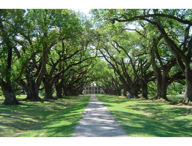 Beignets, Ghosts, and Spirits--New Orleans Experience