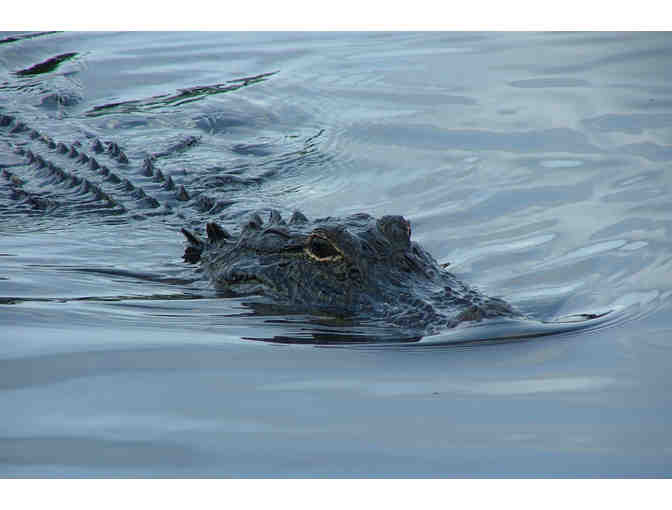 Beignets, Ghosts, and Spirits--New Orleans Experience