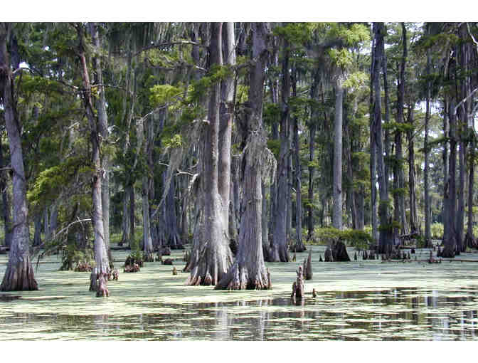Beignets, Ghosts, and Spirits--New Orleans Experience